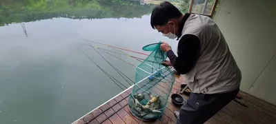 5월 시작 첫주초 힐링 수곡낚시터 조황 , 금일 붕어 방류