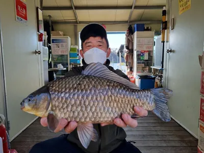 고삼저수지 봄시즌 막바지 달립니다!!