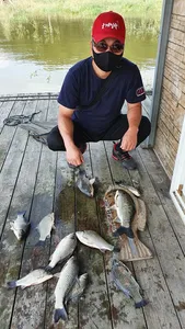 고삼지 상류권 포인트 활성도 UP!