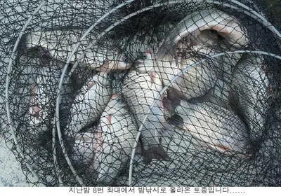 드디어 신봉지도 만수위가....