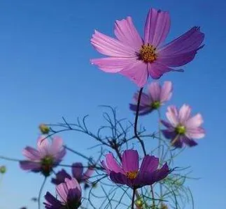 "도심속의 작은 심터" 화성관리낚시터