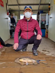 고삼저수지 벌써 초여름.... 조황!!