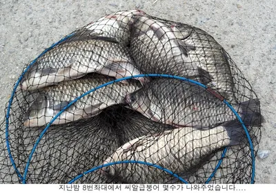 가장 어려운것은 낚시입니다.....