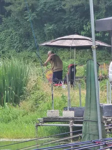 배수없는 항곡낚시터 조황