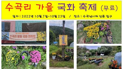 양평 수곡낚시터 가을 국화전시회  10월 첫주 조황정보