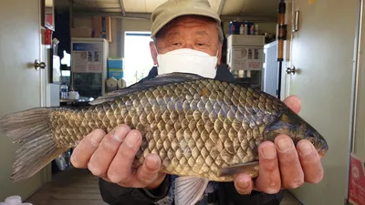똥바람 속에서도 터져준 사짜조황!!