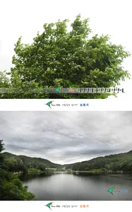 ■■ 삼합지 ■■ 비결~ ??@#$%@!#$%