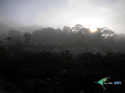 ■■ 삼합지 ■■ 다들 어디 간겨~