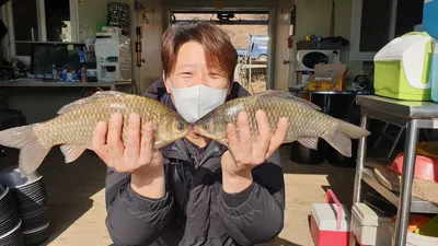 고삼지 상류권 조황입니다