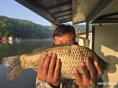 용담대물낚시터 
