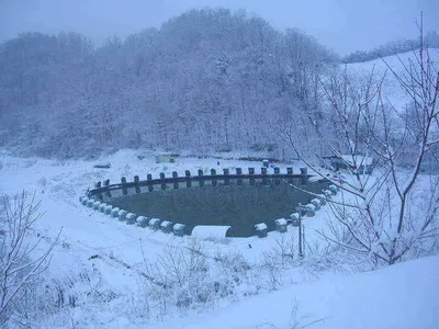 신년인사 드립니다