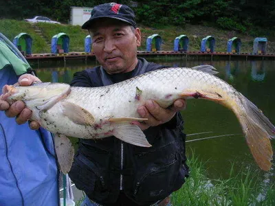 [대물 낚시 하세요!!!!]