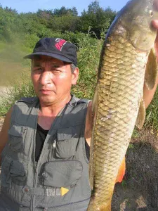 [2008년 최고의 대박!!!!]