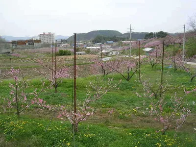 ***거일낚시터***