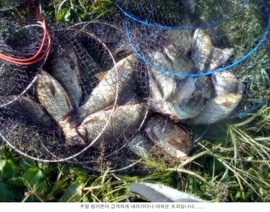 조금 아쉬운 주말 조황입니다.....