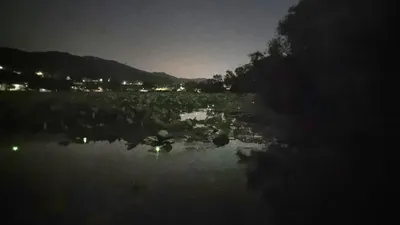 아산 명품 월랑낚시터 7월 첫번째 조황 화보입니다...^^