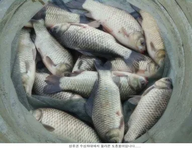 벌써 6월 마지막 주말입니다....