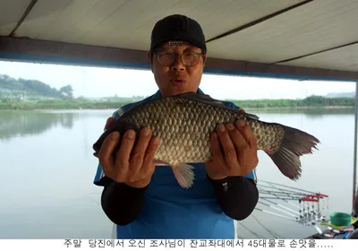 주말 신봉지는 곳곳에서 토종대물이.....