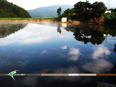 ■■ 삼합지 ■■ 긴급속보