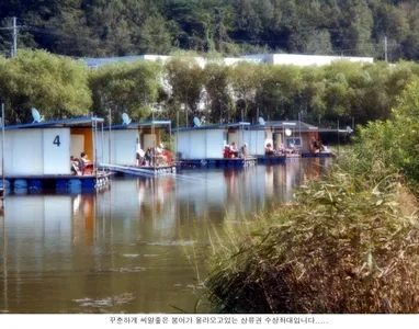 지금은 물낚시 최고의 계절입니다....