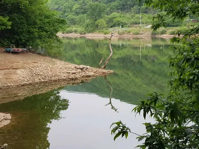 아름다운장계지에서