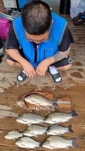 고삼지 상류권은 가을시즌 시작입니다.