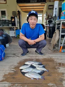 장마철 고삼지 조황입니다!!