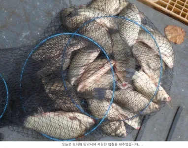 모처럼 좌대에서 웃을수 있었습니다..