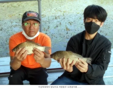 토종붕어 방류와 조황입니다....