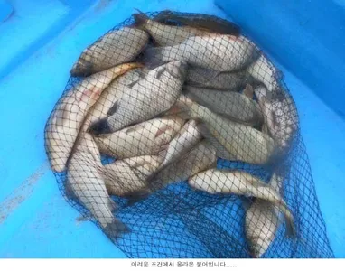 최악의 8월을 보내고 있습니다....