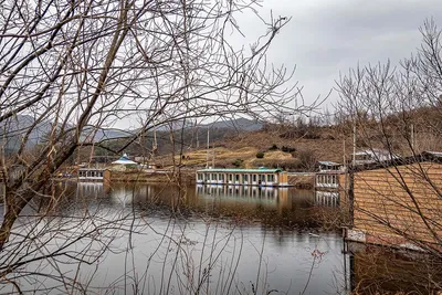 안성 두메낚시터 12월 22일 조황정보