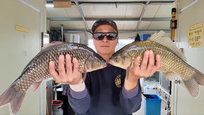 고삼지 상류권 사짜붕어 추가요~