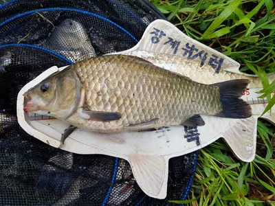 아름다운계곡속에자리잡은장계지에서