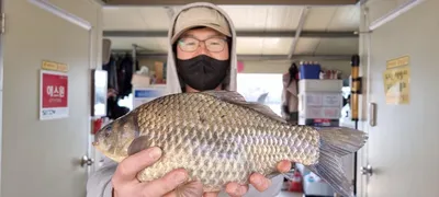 고삼지 양촌좌대 3월 막바지 조황!!