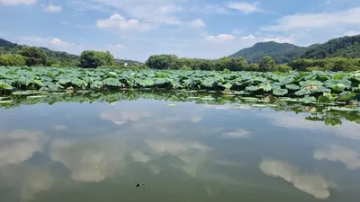 아산 명품 월랑낚시터  8월 두번째  조황이야기입니다...^^
