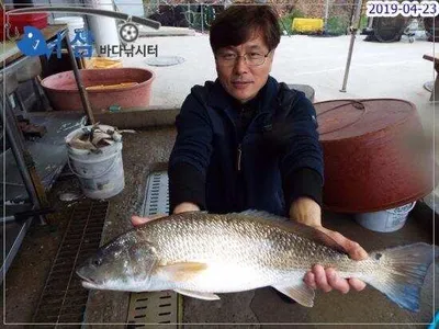 4월23일어심바다낚시터조황