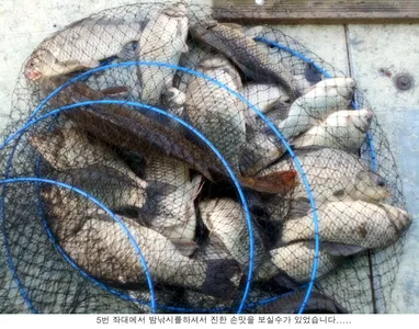 오늘은 이런조황을 보여주네요...