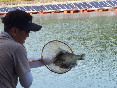 장계지에아름다운날들