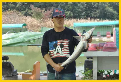 [유일낚시터] 금요일에는 송어추가방류합니다,~~!