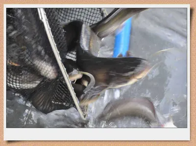 [유일낚시터] 뻔한 입질은 이제그만~~~!