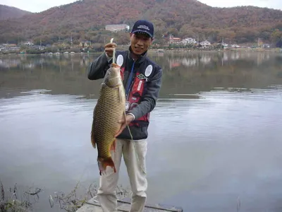 국화지 11월 둘째주말조황