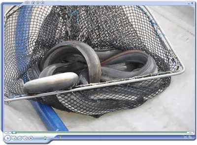 [유일낚시터] 주말에는 유일에 서 보네세요~~~!