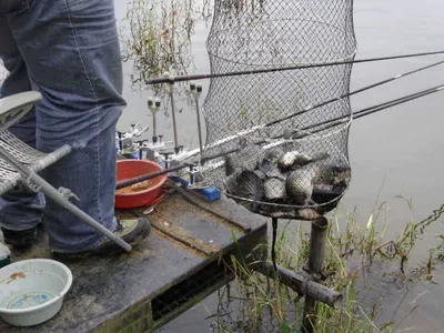 문화관광부 장관배 코리아 오픈 전국낚시대회 개최