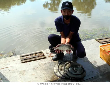 카메라 고장으로 이제야 조황올립니다....