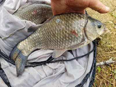 아름다운계곡속에자리잡은장계지에서