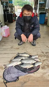 고삼지 상류권 조황입니다