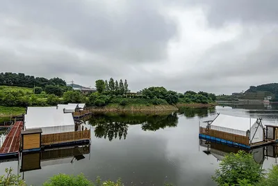 안성 두메낚시터 7월 8일 조황정보