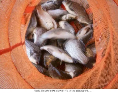 본격적인 농사철 입니다....