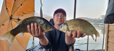 고삼지 사짜붕어 휘날레~