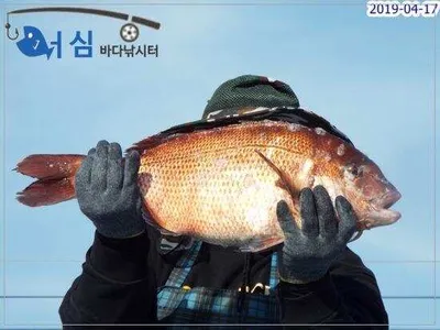 4월17일어심바다낚시터조황